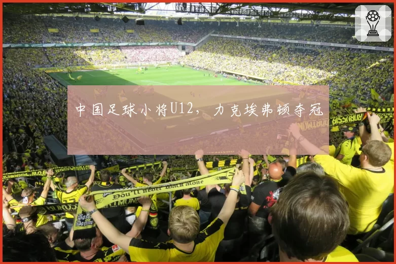 中国足球小将U12，力克埃弗顿夺冠